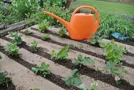 Here are 3 reasons why you should not use weed control fabric in your garden as a long term solution. Weed Matting Secrets How To Use Landscaping Fabric