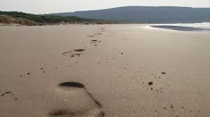 The colors are vivid and pure. Footprints In The Sand Stock Video Footage Royalty Free Footprints In The Sand Videos Pond5