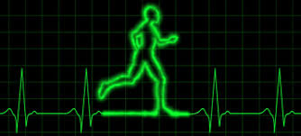 Resultado de imagem para frequência cardiaca
