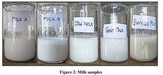 Project 1 To Determine The Amount Of Casein Present In Different Samples Of Milk Nature Of Chemistry