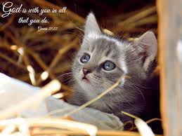 Discover more christianity and the bible fun stuff bible trivia. Genesis 21 22 Kittens Cats And Kittens Cute Funny Animals