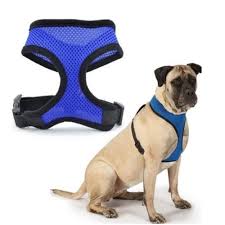 Bespoke glass tables · high quality glass tables from glass vault furniture. Buy Adjustable Soft Breathable Dog Harness Mesh Vest For Pet Puppy Collar Cat Chest Strap Leash At Affordable Prices Price 3 Usd Free Shipping Real Reviews With Photos Joom