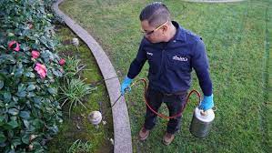 While the average cost of pest control seems staggering, preventive pest control offers low cost pest control services that provide an the reality is that a monthly service agreement might be much cheaper and its presence will likely reduce the number of insects and pests that make it to your home. 9 Best Pest Control Companies In The San Francisco Bay Area Of 2021