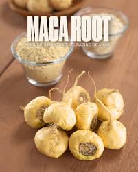 Fraîcheur, énergie et confort. La gamme Maca Root & Aloe pour homme allie la vitalité de la racine de maca du Pérou et l'apaisement de l'aloe du Mexique 🌿. Résultat : une