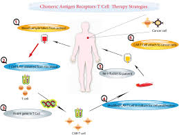 Frontiers | Optimizing cancer treatment: the synergistic potential of CAR-T  cell therapy and CRISPRCas9