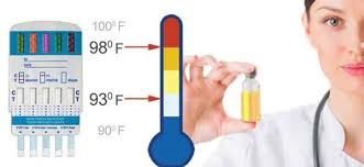 Urine Temperature Is Key To Accurate Drug Testing Always