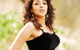 genelia d souza wallpapers hd wallpapers id 3629 genelia d souza wallpapers hd