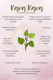 Pin On Herbal Education