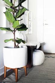 Plant pots, planters & baskets. Wearefound Com Nbspwearefound Resources And Information Plant Stand Indoor Living Room Plants Large Indoor Plants