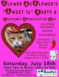 Ne and adoption sunday at paradise hills community center at 5901 paradise blvd. Albuquerque Pet Adoption Events Peepsburgh