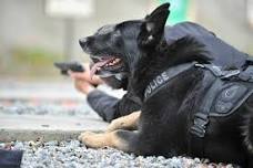 Dothan, Al.: Canine Legal Updates (Patrol ...