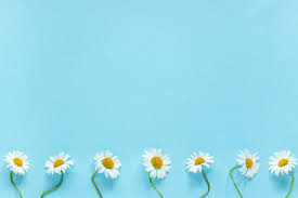 Check spelling or type a new query. Pastel Cute Daisy Wallpaper Blue Novocom Top