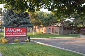 Find opening times and closing times for the cat doctor veterinary hospital & hotel in 9151 w. Services