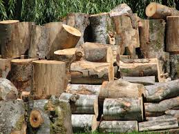 Posted by ste in diy tools & materials, wood & timber in royton. Free Wood Logs Stock Photo Freeimages Com
