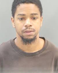 St. Louis man found guilty of 2015 double murder in Greater Ville  neighborhood