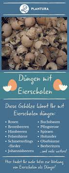 Eierschalen Als Dunger Anwendung Wirkung Plantura Eierschale Garden Care Pflanzen