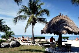 Check spelling or type a new query. Best Florida Keys Campgrounds For Marathon Key Area