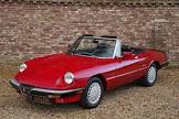 Alfa-Romeo-Spider