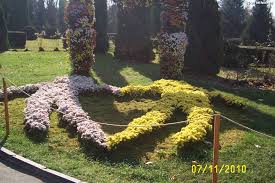 Iasi expozitie florala la gradina botanica avi. Gradina Botanica Iasi Printre Flori Si Frunze Impresii La Pas Prin Gradina BotanicÄ IaÈi Amfostacolo