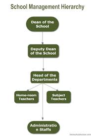 school management hierarchy structure hierarchy structure