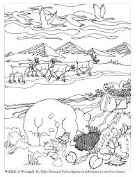 Animal Migration Coloring Pages Hibernating Animals Preschool Winter Theme Preschool Coloring Pages Winter