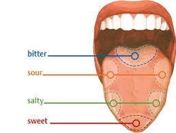 Image result for Taste Sensation