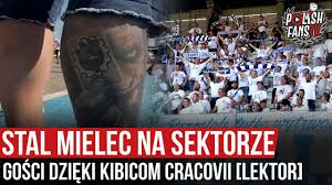 In media nelle partite vengono segnati 2.00 gol. Stal Mielec Na Sektorze Gosci Dzieki Kibicom Cracovii Lektor 12 09 2020 R Youtube