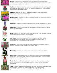 Plants Poisonous To Dogs Plants Poisonous To Dogs Natural Pet Care Dog Care Tips