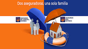 Home Page Seguros Del Estado