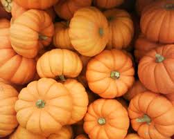 Calabazas Citrouille Congeler Citrouille Fruits Et Legumes