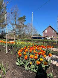 Maybe you would like to learn more about one of these? Riverview Lawn And Garden Facebook