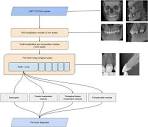Clinically applicable artificial intelligence system for dental ...