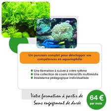 180 formations pour être en conformité avec ses obligations réglementaires ou obtenir un label. Devenez Vendeur Et Conseiller En Aquariophilie