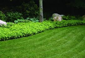 Shop items you love at overstock, with free shipping on everything* and easy returns. Permaloc Aluminum Edging Proslide