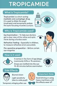 Image result for Mydriatic