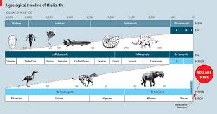 A Man Made World The Anthropocene The Economist