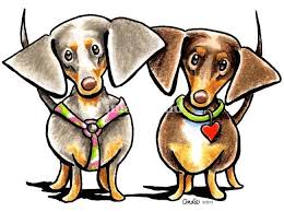 Double Dappled By Off Leash Art Dachshund Love Dapple Dachshund Dachshund Breed
