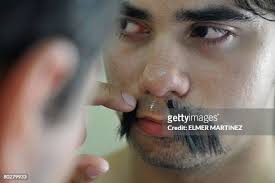 200 Elmer P Stock Photos, High-Res Pictures, and Images