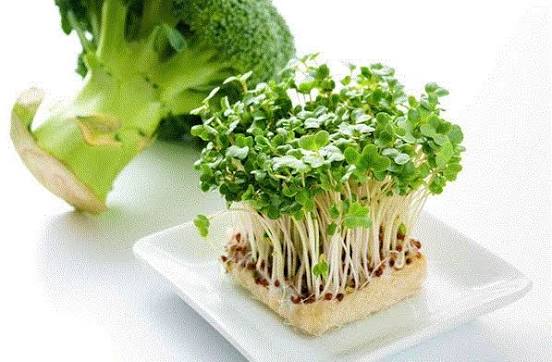 Rau mầm bông cải xanh đặc biệt tốt cho sức khỏe - Báo Cần Thơ Online