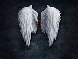 Kirby Crow Angels Of The Deep Wings Wallpaper White Angel Wings Angel Wallpaper