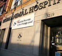 Our veterinarians and staff believe each pet deserves exceptional veterinary care—and that you play an. Chicago Il Veterinarian Pet Clinic Blum Animal Hospital Lakeview Blum Animal Hospital Veterinary Care Animal Hospital Hospital