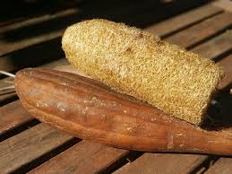 Image result for Luffa