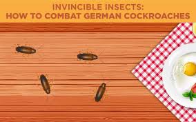 Topten.hotdeals.com has been visited by 100k+ users in the past month Invincible Insects How To Get Rid Of German Cockroaches Lloyd