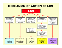 Ldn For Pain Autoimmune Disorders Cancer And Lyme Msids Madison Area Lyme Support Group
