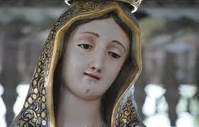 Jose Virgen's Instagram, Twitter & Facebook