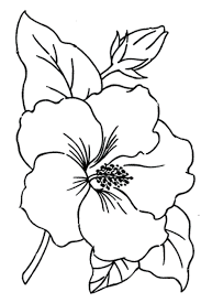 Se suceden entonces una serie de tentativas infructuosas para dibujar un cordero según los deseos del principito. Resultado De Imagen Para Flores Para Dibujar Patrones Libres De Bordado Patrones De Bordados De Epoca Flores Faciles De Dibujar
