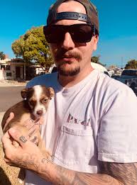 In need of someone to hang out with Ryan after school is out, Mondays,  Tuesdays and Wednesdays, 2:15 5:30. He is very independent, needs support  getting snack, doing a little homework, occasional