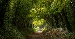 Word games places in nature 2. Time For Nature Is A Global Public Health Crisis What It Takes To Protect The Planet S Biodiversity Environment Focus