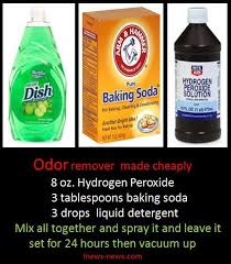 Oder Remover That Works Good Www Inews News Com Diy Html Cleaning Hacks Odor Remover Cleaning