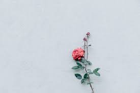 75 Beautiful Minimal Desktop And Laptop Wallpapers For Minimalist Lovers Minimalist Desktop Wallpaper Laptop Wallpaper Desktop Wallpapers Cute Desktop Wallpaper